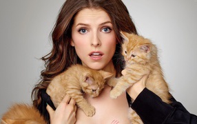 Actress Anna Kendrick with red kittens on a gray background