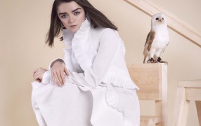 Актриса Мэйси Уильямс в белом платье с совой