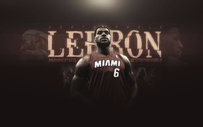 Basketball player LeBron James Miami Heat T-shirt 
