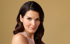 Красивая брюнетка актриса Энджи Хэрмон 