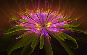 Красивый необычный фрактальный цветок