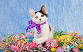 Маленький забавный котенок с бантом сидит на шоколадных пасхальных яйцах