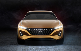 Автомобиль Hybrid Kinetic H500, 2018 вид спереди