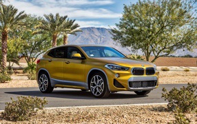 Автомобиль BMW X2, цвет золотистый металлик 