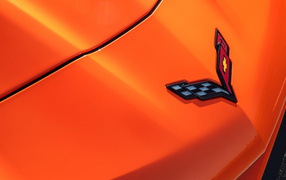 Car logo Chevrolet Corvette, 2019