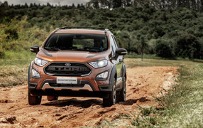 Off-road car Ford Ecosport Storm, 2019 goes off-road