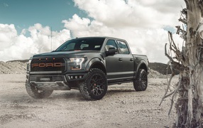 Pick-up Ford F-150 Raptor, 2018 against a white cloud