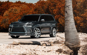 Стильный внедорожник Lexus Lx  2018