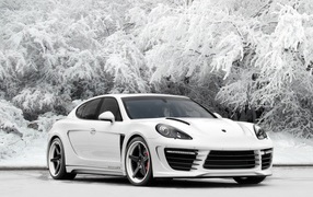 White car Porsche Panamera on the background of frost-covered trees