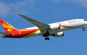 Passenger aircraft Boeing 787-8 takes off