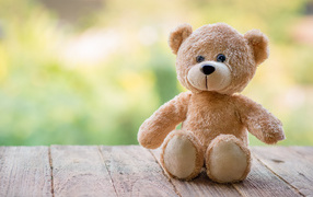 Плюшевый медведь сидит на деревянных досках