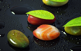 Красивые камни на черной мокрой поверхности