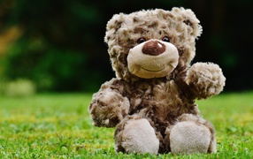 Милый плюшевый мишка сидит на зеленой траве