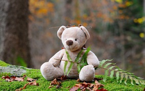 Медвежонок Тедди сидит в лесу на покрытой мхом земле