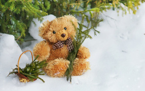 Медвежонок Тедди с веткой ели сидит на снегу
