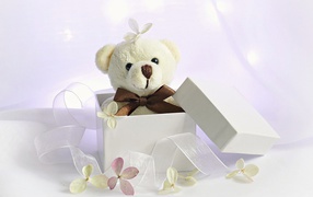 Белый плюшевый медведь в подарочной коробке