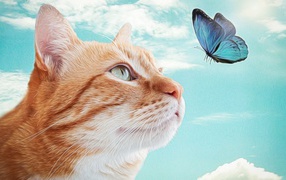 Нарисованный рыжий кот с голубой бабочкой 