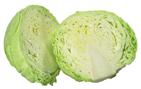Cabbage head on a white background