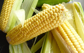 Кукурузные кочаны в листьях на столе