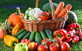 Свежие овощи и фрукты в корзине на зеленой траве