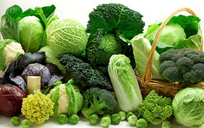 Many different types of cabbage on a white background