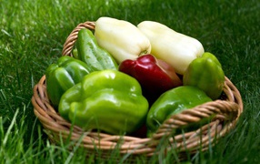 Разноцветный сладкий перец в корзинке стоит на зеленой траве