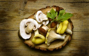 Mushrooms on a wooden cutting board