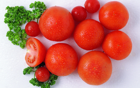Спелые красные помидоры с зеленью петрушки в каплях воды
