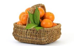 Корзина спелых, сочных оранжевых мандарин на белом фоне