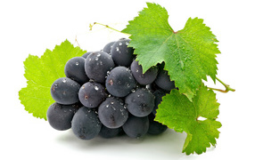 Blue grapes with green leaves on white background