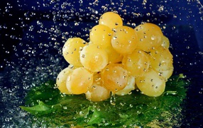 Bunch of white grapes in a spray of water