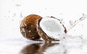 Coconuts in the water on a white background