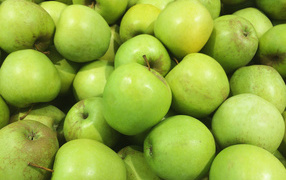 Много зеленых яблок крупным планом