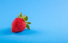 Red ripe strawberry on a blue background