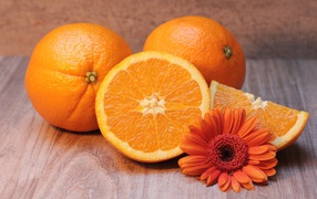 Ripe juicy oranges with gerbera flower