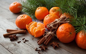 Tasty ripe tangerines with cinnamon and star anise on a table with a fir branch