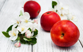 Three red apples with flowers on a wooden surface