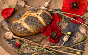 Fresh bread with poppy seeds