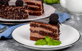 Аппетитный торт с шоколадом и кремом на тарелке