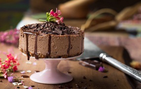 Appetizing cake with chunks of chocolate