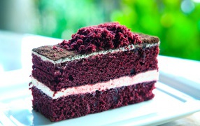 Аппетитный кусок торта с кремом