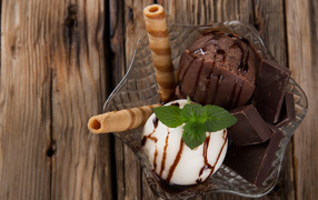 Шарик сливочного и шоколадного мороженого в пиале с трубочками