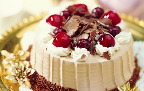 Beautiful birthday cake with cream, chocolate and cherries