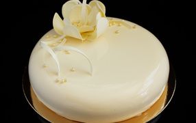 Красивый глянцевый торт с белым цветом