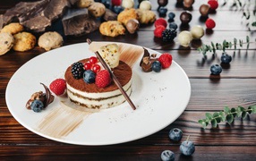 Cake with berries and chocolate on a white plate