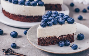 Чизкейк с ягодами черники на тарелке