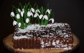 Chocolate cake with coconut shavings and snowdrop flowers