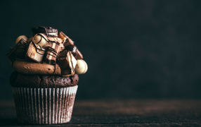 Chocolate cupcake with cream and sweets on gray background