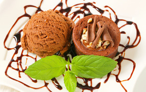 Chocolate ice cream with cupcake on a plate