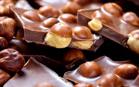 Delicious milk chocolate with hazelnuts